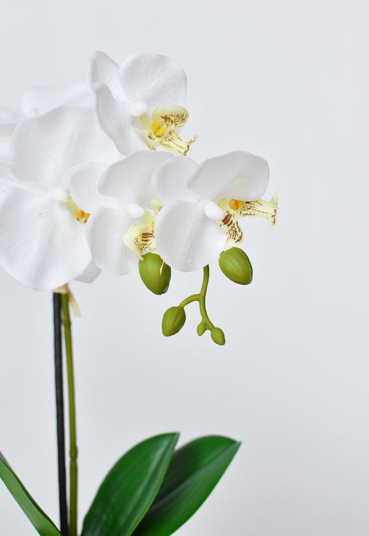 14" Faux Potted Orchid White