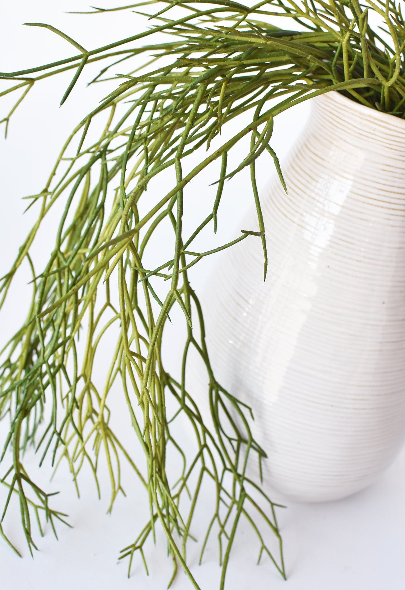 24" Faux Pencil Cactus Hanging Succulent Bush