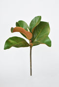 14" Faux Magnolia Leaf Stem
