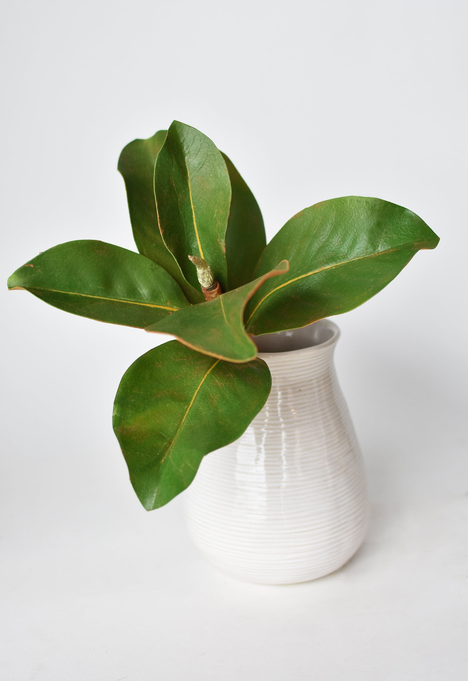 14" Faux Magnolia Leaf Stem