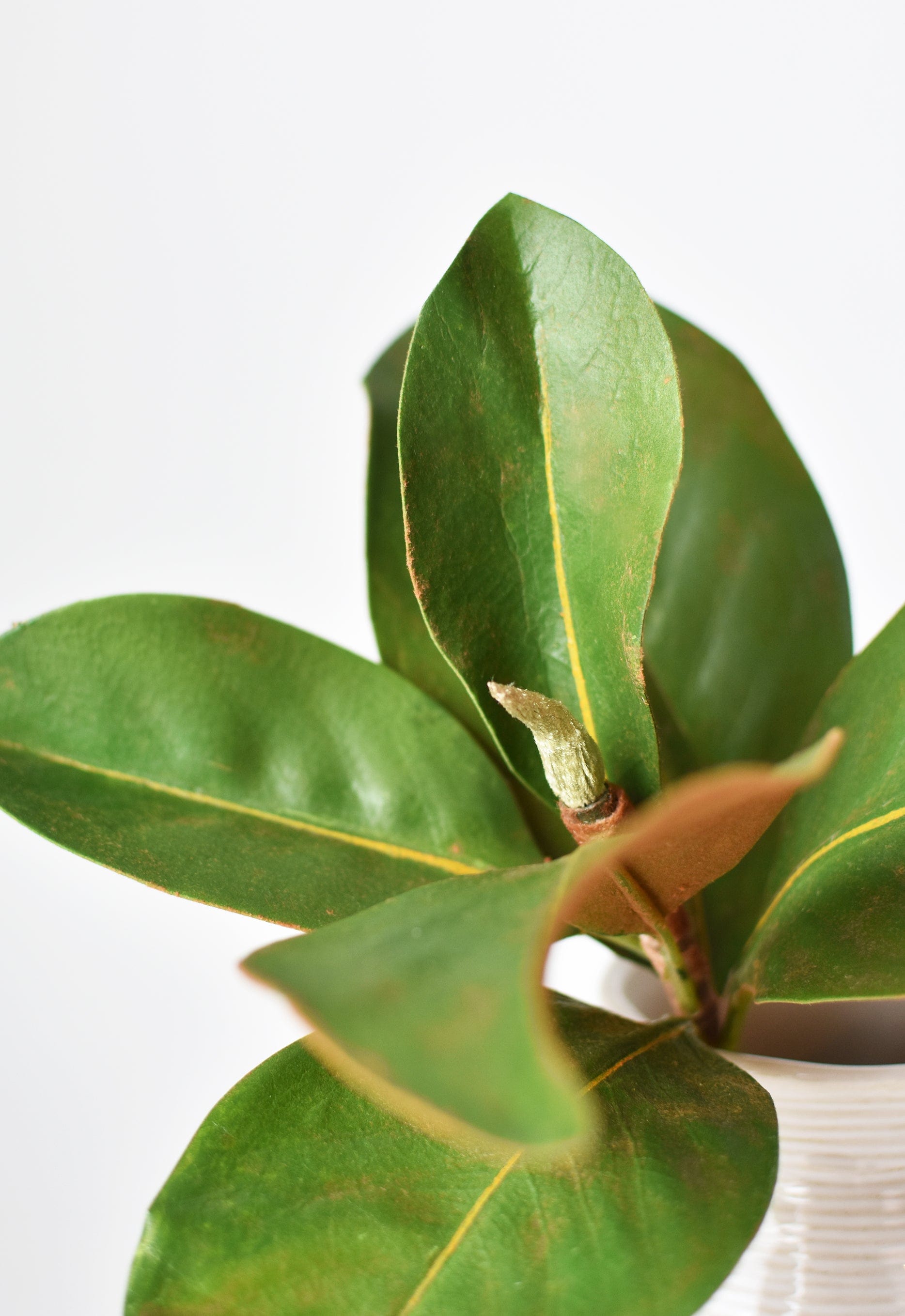 14" Faux Magnolia Leaf Stem