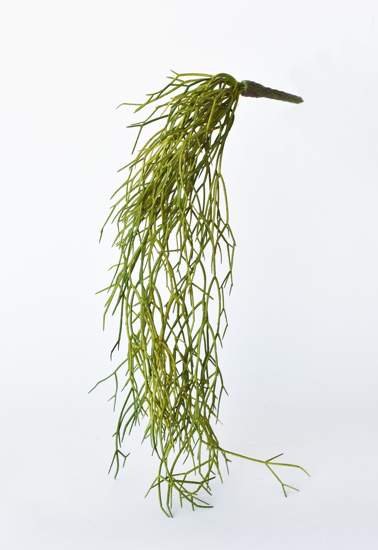 24" Faux Pencil Cactus Hanging Succulent Bush