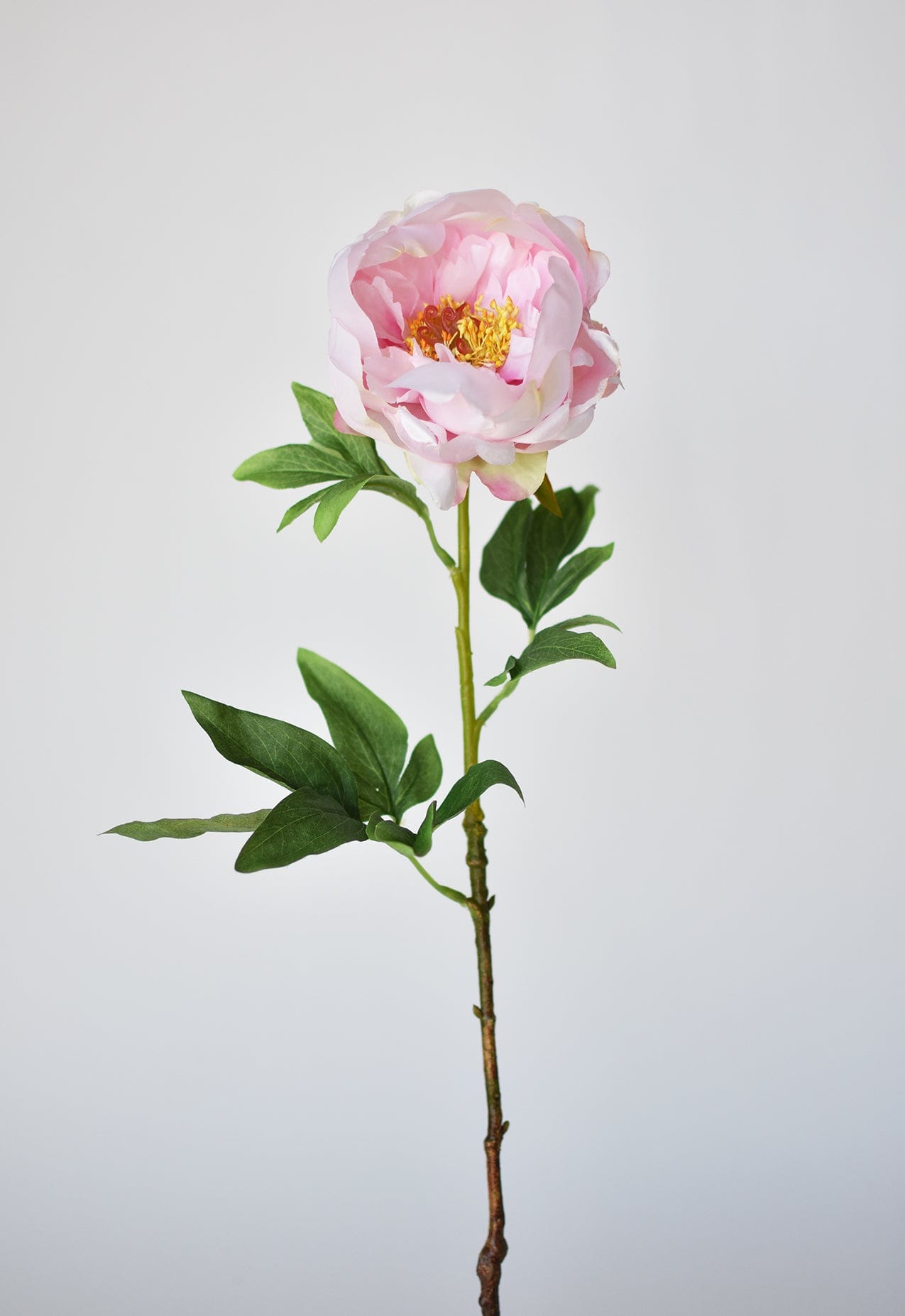 22" Faux Pink Peony Stem