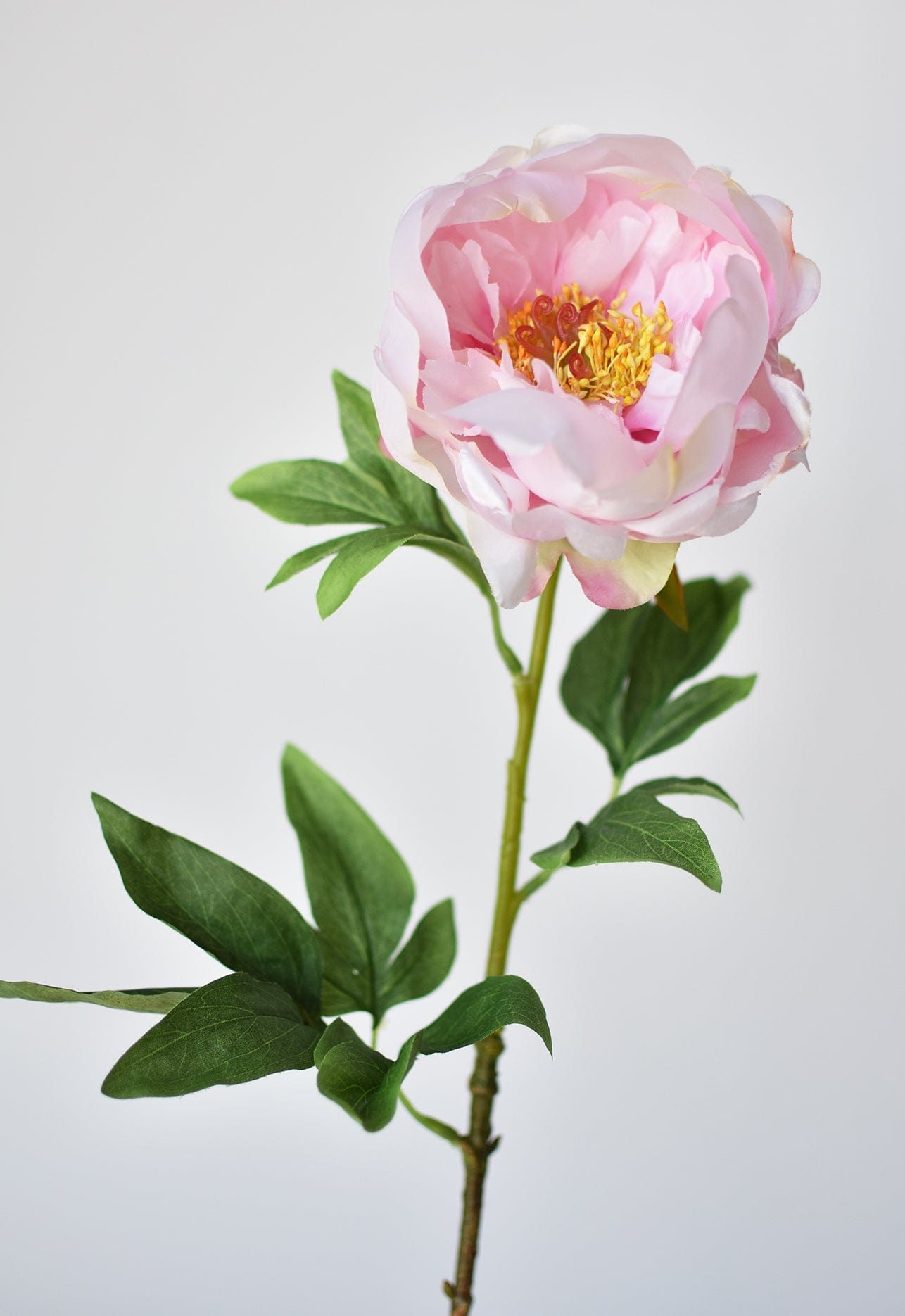 22" Faux Pink Peony Stem
