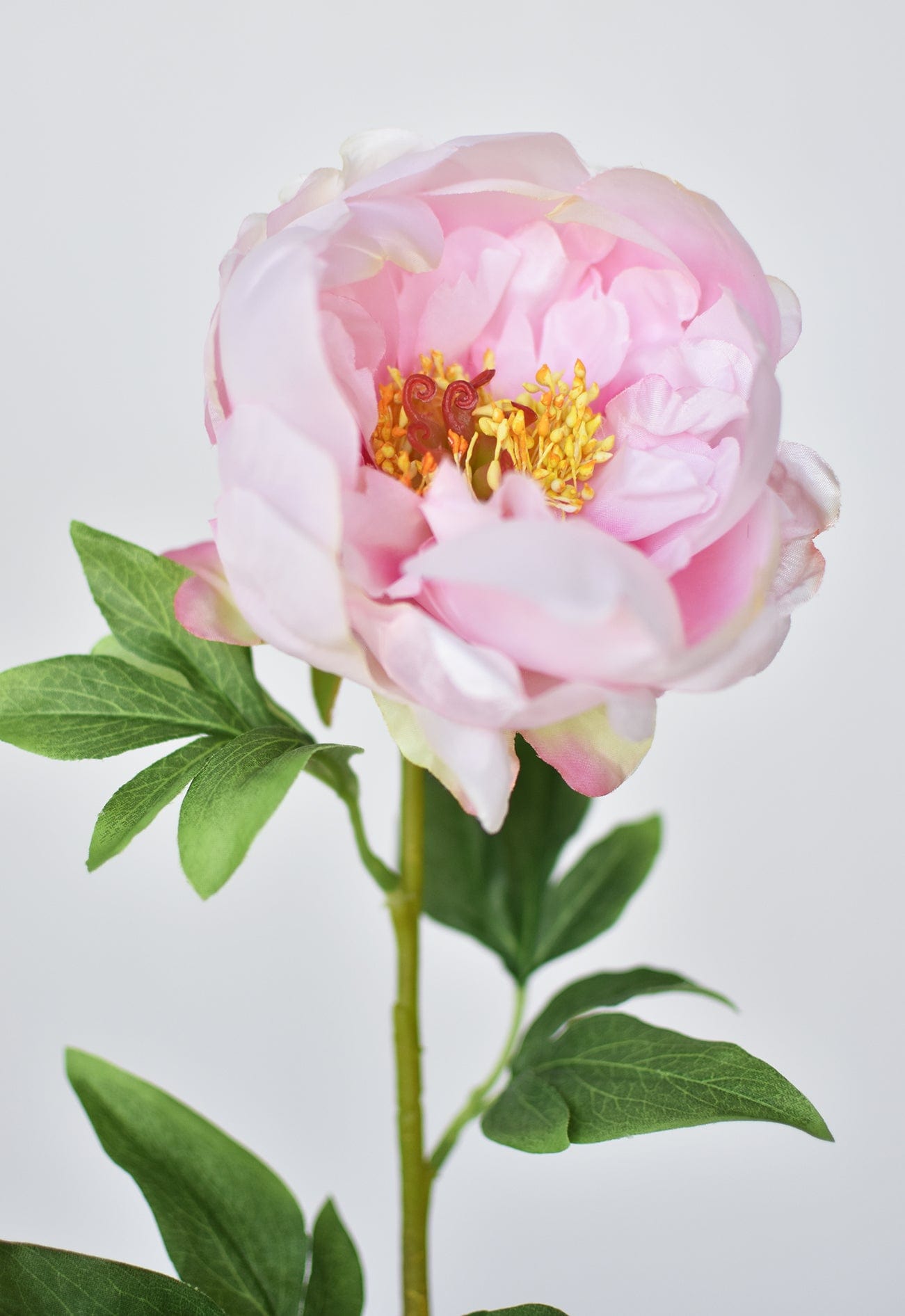22" Faux Pink Peony Stem
