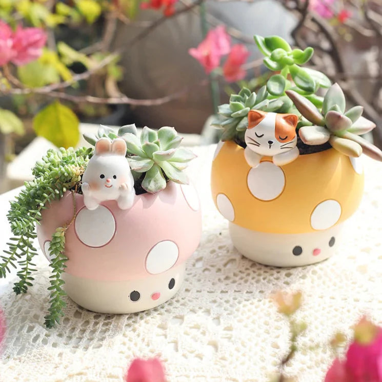 Kawaii Mushroom Succulents Plant Pots