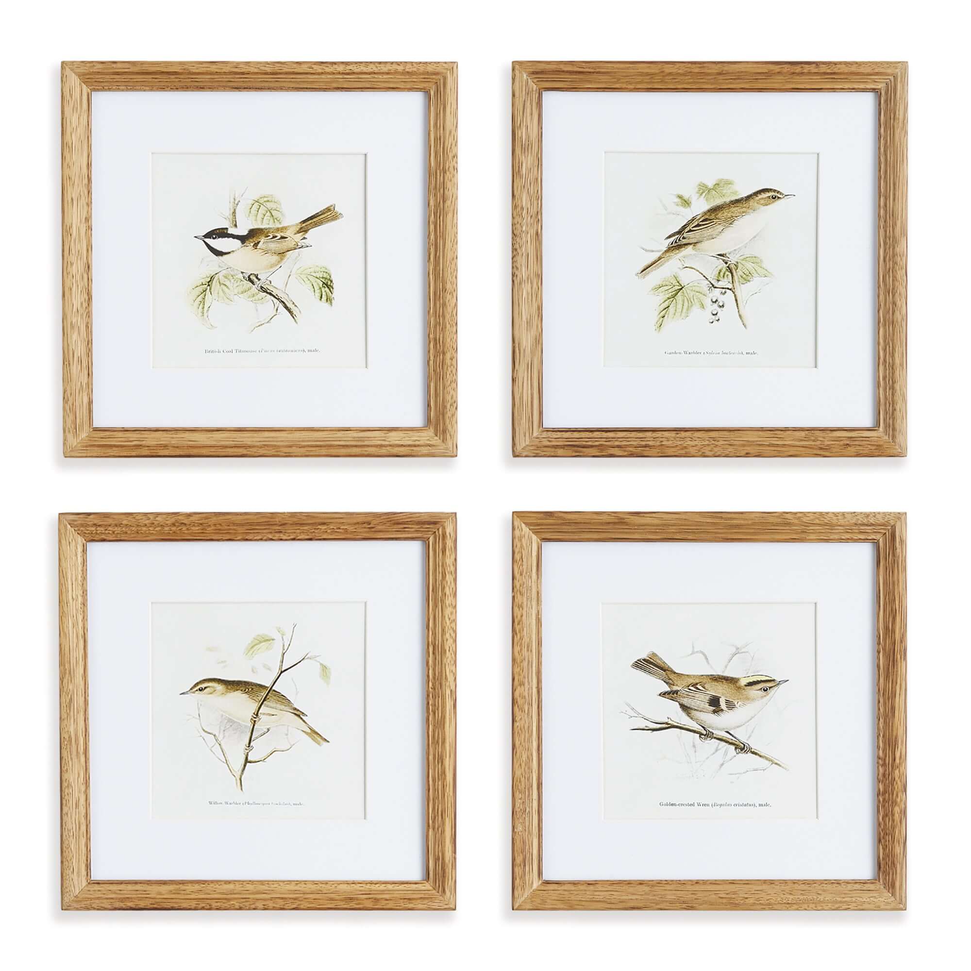 Vintage Songbird Prints Wall Art (Set of 4)