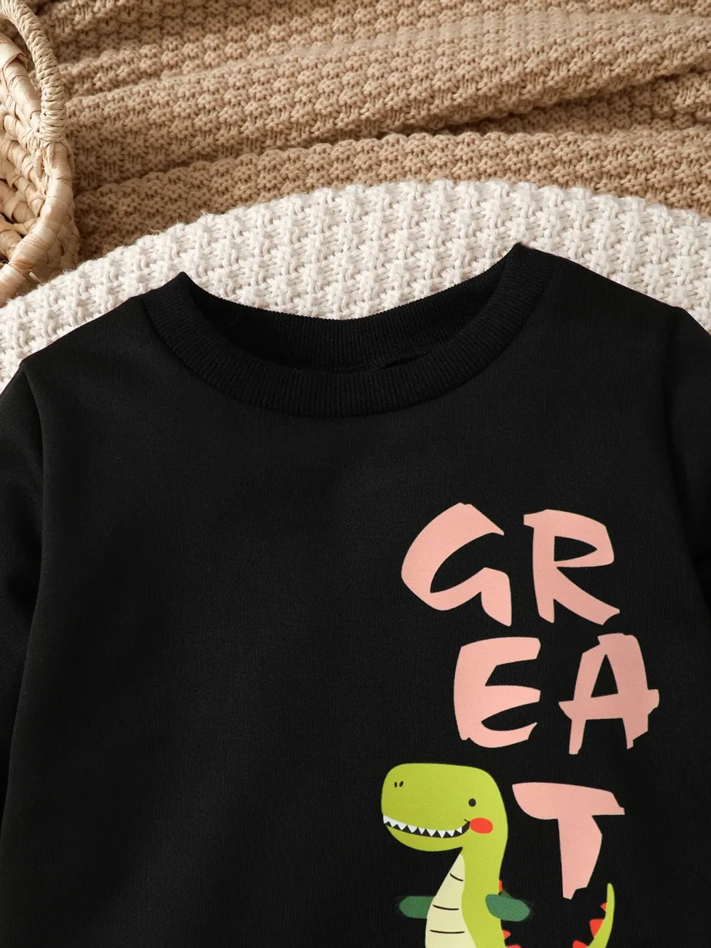 Children's Dinosaur Graphic Sweatshirt and Pants Set
